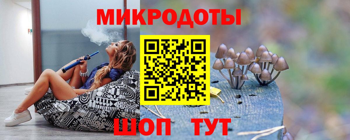 Галлюциногенные грибы мухоморы Балтийск